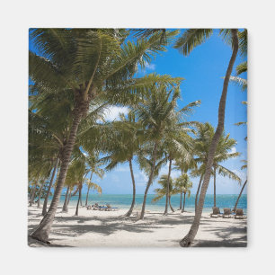 Imán El Moorings Resort, Marathon, Key West, 2