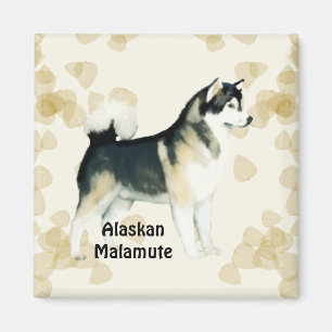 Imán El moreno del ~ del Malamute de Alaska deja Motiff