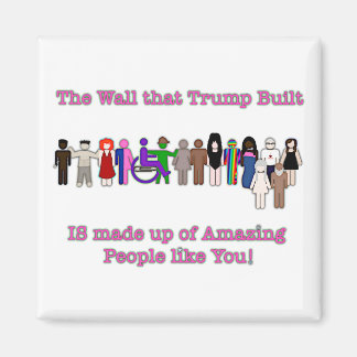 Imán El muro que Trump construyó