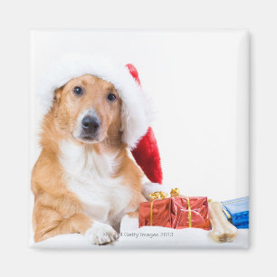 Imán El navidad persigue con la asta y los regalos