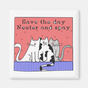 Imán El neutro de tres gatos y Spay