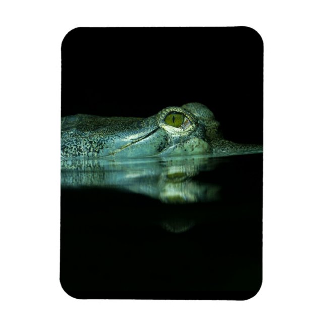 Imán El Ojo Del Gavial (Vertical)