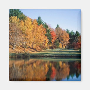 Imán El Pacífico Otoño En Vermont