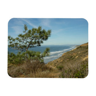 Imán El paisaje costero de Torrey Pine y California