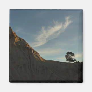 Imán El paisaje de Lone Torrey Pine California Sunset