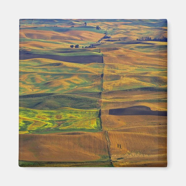 Imán El Palouse de Steptoe Butte, Colfax, (Frente)
