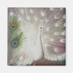Imán El pavo real blanco y el arte verde de la pluma