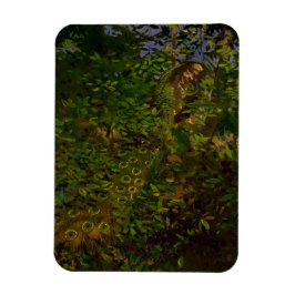 Imán El pavo real en los bosques