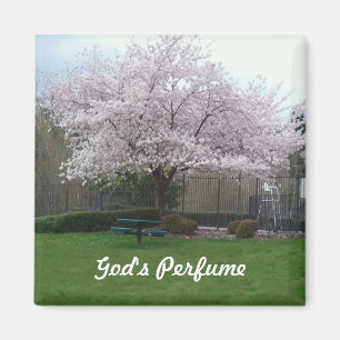 Imán El perfume de dios