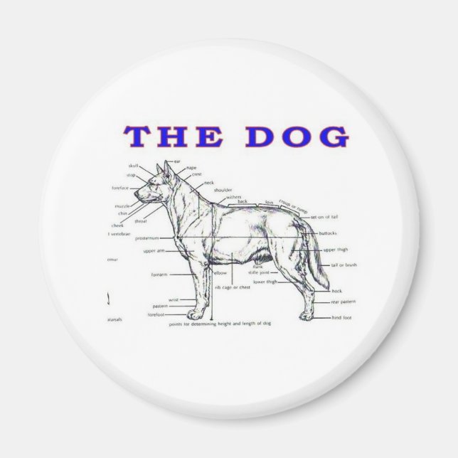 IMÁN EL PERRO (Frente)