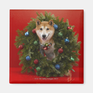 Imán El perro chiba inu sentado en Navidades era una co