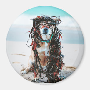 Imán El perro con algas en el pelo. Estafar en la playa