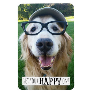Imán El perro del golden retriever consigue su feliz