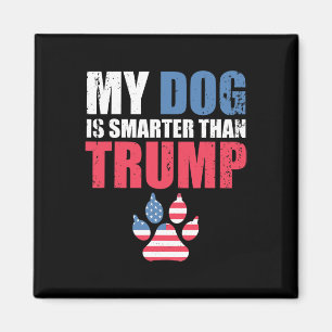 Imán El perro es más inteligente que la hormiga gracios