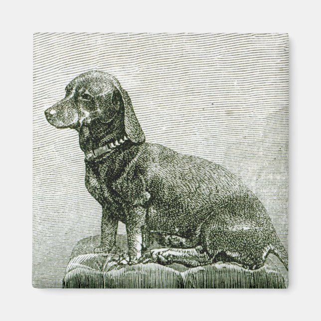 Imán El perro Jacob (Frente)