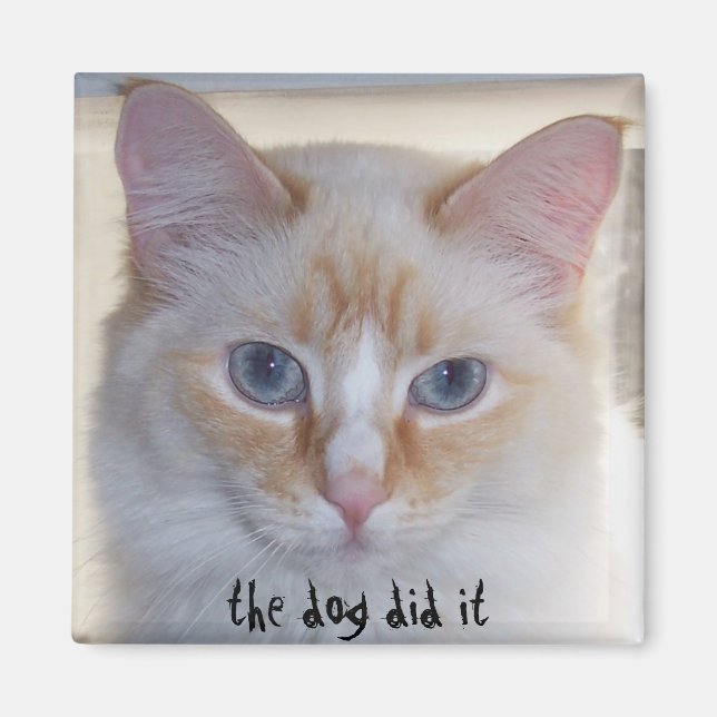 IMÁN EL PERRO LO HIZO (Frente)