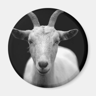 Imán El personalizado del espolón del cuerno de la