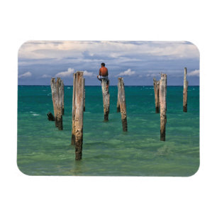 Imán El Pier En La Playa De Coqueiros En Trancoso