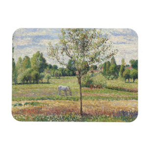 Imán El prado con caballo gris, Eragny, pintura al óleo