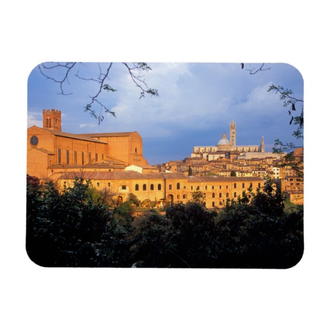 Imán El pueblo toscano de Sienna, Italia. (Horizontal)