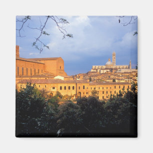 Imán El pueblo toscano de Sienna, Italia.