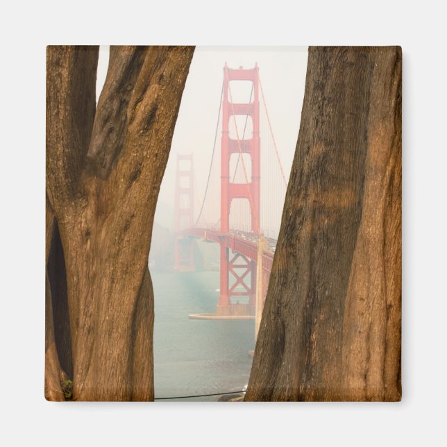 Imán El puente Golden Gate | Árboles desde vista de vis (Frente)