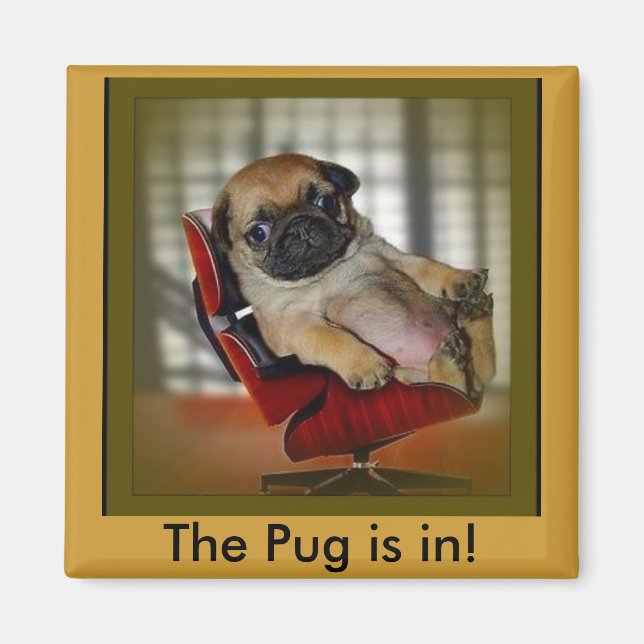 Imán ¡El Pug está adentro! (Frente)