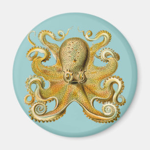 Imán El pulpo de Ernst Haeckel