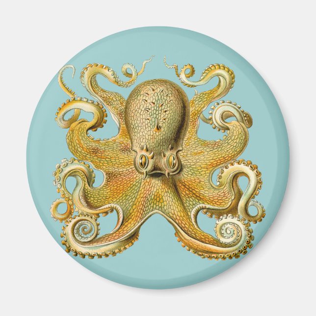 Imán El pulpo de Ernst Haeckel (Frente)