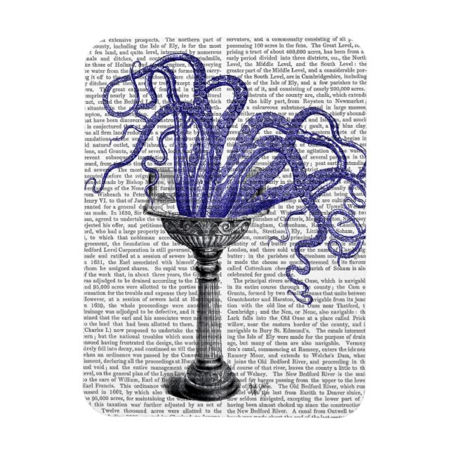 Imán El pulpo en el manto (Vertical)