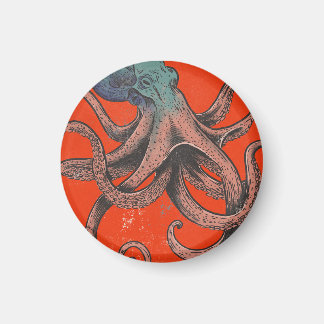 Imán El Pulpo Hermoso