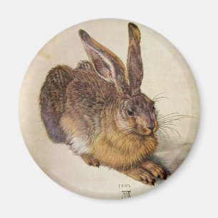 Imán EL RABBBIT (Jóvenes Osos)
