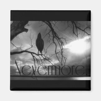 Imán El Raven - Nevermore Sunbeams & Tree B&W