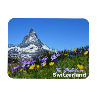 Imán El recuerdo de viaje de Matterhorn Switzer