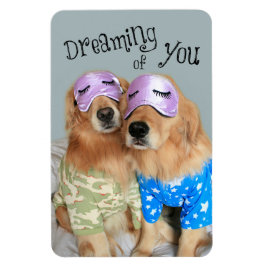 Imán El recuperador de oro soñando contigo