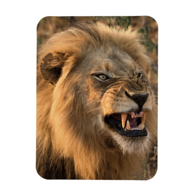 Imán El refrigerador de LION enojado imprimió tu planti (Vertical)