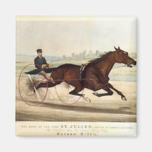 Imán El rey del césped, 'St. Julien