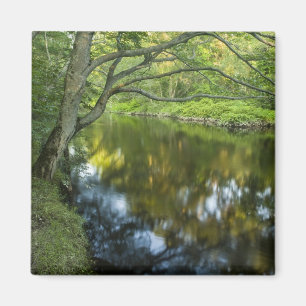 Imán El río Taunton en Bridgewater,