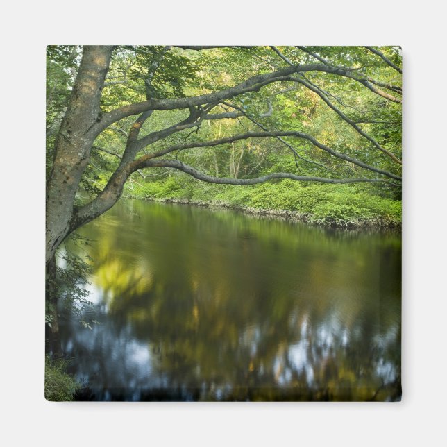 Imán El río Taunton en Bridgewater, 2 (Frente)