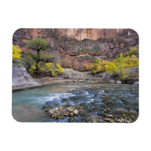 Imán El río Virgin en otoño en el Parque Nacional Zion