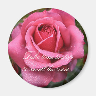Imán ¡El rocío besó color de rosa rosado!