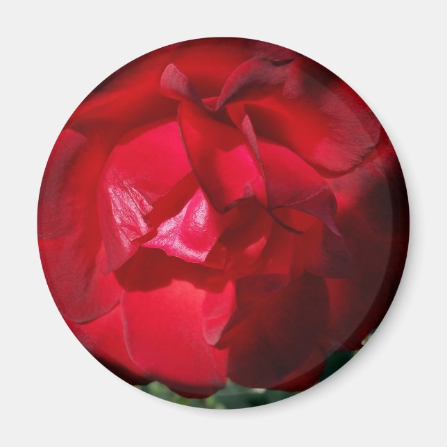 Imán El rojo del otoño (Frente)