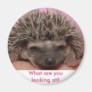 Imán ¿el rosa oscuro 3, qué usted está mirando?