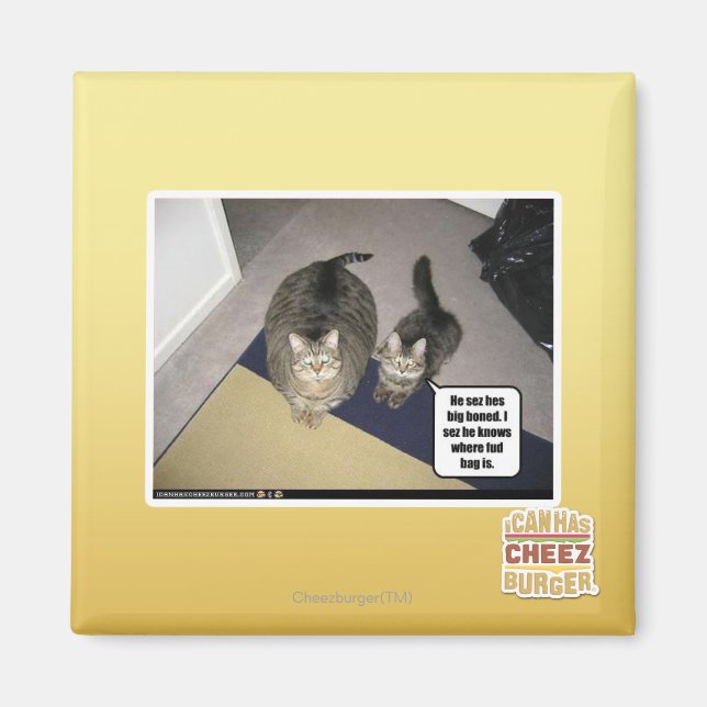 Imán Él siente que está muy loco. (Frente)