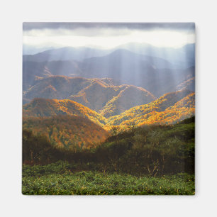 Imán El sol sopla las montañas Shirakami-Sanchi