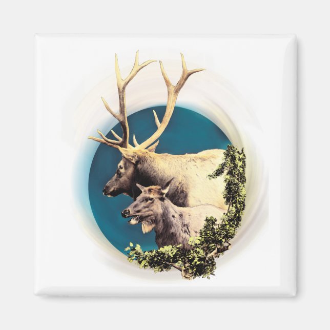 Imán El Stag y el Hind (Frente)