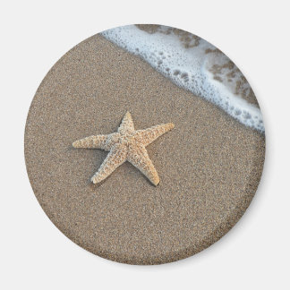 Imán El Starfish en la playa