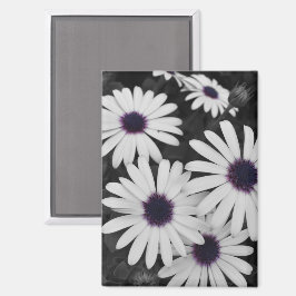 Imán El sutil contraste de la naturaleza