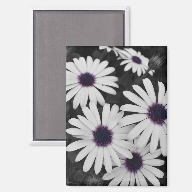 Imán El sutil contraste de la naturaleza (Anverso/Reverso)