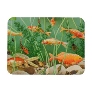 Imán El tacto de oro 2011